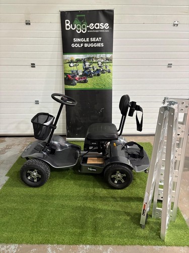 Used golf buggy - used, buggy,